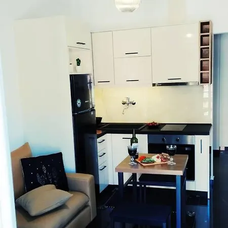 Xenofon's Cozy